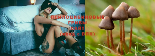 гашик Абдулино