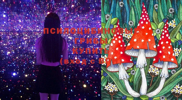 меф Алексин