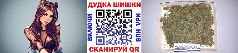 Бошки Шишки планчик  где купить наркотик  Новопавловск 